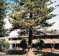 Eastern Beach Holiday Units - Accommodation Port Hedland
