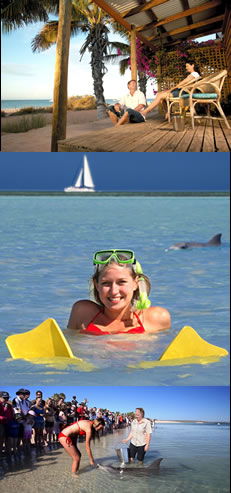 Monkey Mia WA Accommodation Port Hedland