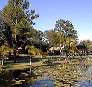 Twin Lakes Hotel - Accommodation Port Hedland