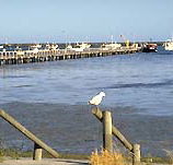 Seaview Motel and Holiday Units - Accommodation Port Hedland
