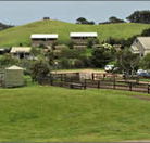 Ace Hi Riding Ranch - Accommodation Port Hedland