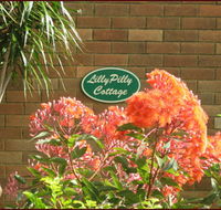 Lillypilly - Accommodation Port Hedland