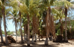 King Sound Resort Hotel - Accommodation Port Hedland