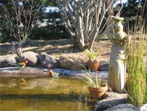 Murray Gardens Motel And Cottages - Accommodation Port Hedland 2