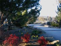 Murray Gardens Motel And Cottages - Accommodation Port Hedland 3