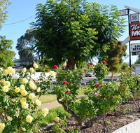 Narrogin Motel - Accommodation Port Hedland