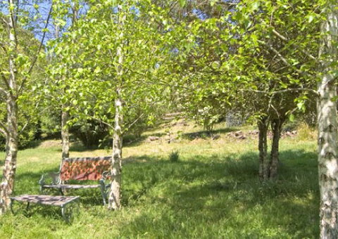 Tomah Mountain Lodge - Accommodation Port Hedland 2