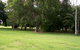 Daly River Mango Farm - thumb 1