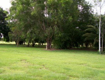 Daly River Mango Farm - Accommodation Port Hedland 1