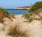 Marion Bay Caravan Park - Accommodation Port Hedland 5