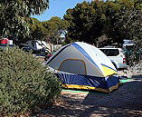 Marion Bay Caravan Park - Accommodation Port Hedland 6
