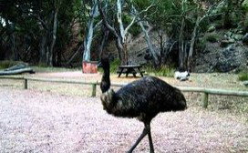 Mambray Creek Cabin - Accommodation Port Hedland 1