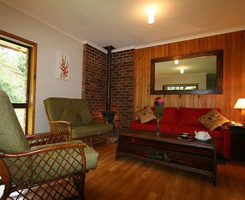 The Canopy Rainforest Tree Houses And Wildlife Sanctuary - Accommodation Port Hedland 1