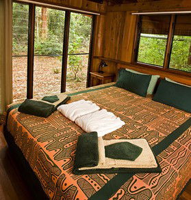 The Canopy Rainforest Tree Houses And Wildlife Sanctuary - Accommodation Port Hedland 2