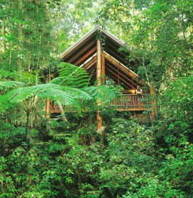 The Canopy Rainforest Tree Houses And Wildlife Sanctuary - Accommodation Port Hedland 5