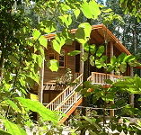 Rivers Edge Rainforest Retreat - Accommodation Port Hedland