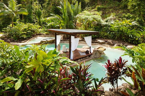 Misty Mountains Tropical Rainforest Romantic Retreat - Accommodation Port Hedland 3