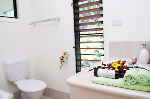 Misty Mountains Tropical Rainforest Romantic Retreat - Accommodation Port Hedland 5