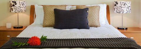 Misty Mountains Tropical Rainforest Romantic Retreat - Accommodation Port Hedland 7