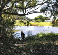 Newry Park Cottage - Accommodation Port Hedland
