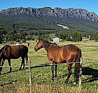 Hurlfield Farm Cottage - Accommodation Port Hedland