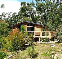Southern Forest Accommodation - Accommodation Port Hedland