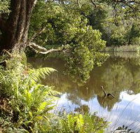 Weldborough Camping Ground - Accommodation Port Hedland