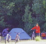 Maria Island Camping Ground - Accommodation Port Hedland