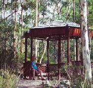 Telopea - Accommodation Port Hedland