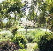 Cherry Park Estate - Accommodation Port Hedland