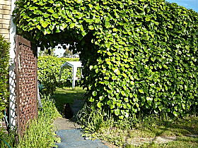 Kirra Guest House - Accommodation Port Hedland 0