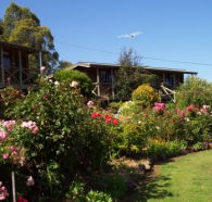 Mole Creek Holiday Village - Accommodation Port Hedland