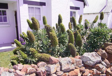 Lester Cottages Complex - Accommodation Port Hedland 2