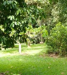 Julatten QLD Accommodation Port Hedland