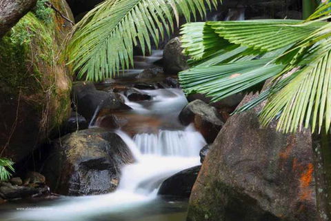 Daintree Secrets (Award Winning Retreat) - Accommodation Port Hedland 1