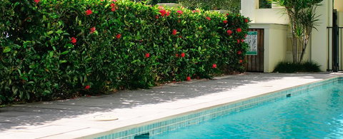 Cairns Beachfront Apartment - Accommodation Port Hedland 5