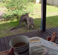 Bush and Bay Cottage - Accommodation Port Hedland