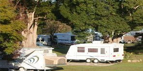 Bellinger River Tourist Park - Accommodation Port Hedland 3