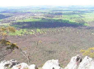 Henty Central Bed And Breakfast - Accommodation Port Hedland 3