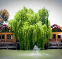 Perricoota Vines Retreat - Accommodation Port Hedland