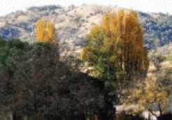 Birches Bed And Breakfast At Nundle - Accommodation Port Hedland 0