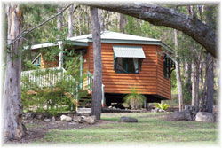 Queen Mary Falls Caravan Park And Cabins - Accommodation Port Hedland 1