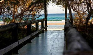 Anchorage Beachfront Island Resort - Accommodation Port Hedland 4