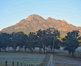 Barney Creek Vineyard Cottages - Accommodation Port Hedland 5