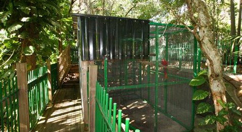 Ashmore Palms Holiday Village - Accommodation Port Hedland 3
