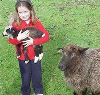 Cinnamon Coloureds Farmstay - Accommodation Port Hedland