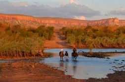 Home Valley Station - Accommodation Port Hedland 2