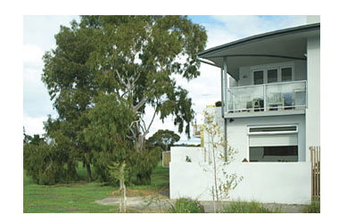 Clifton Hill VIC Accommodation Port Hedland