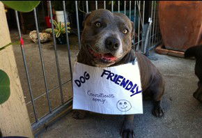 Dreamtime Caravan Park - Accommodation Port Hedland 1