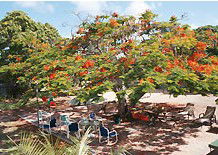 Barnacles Backpackers - Accommodation Port Hedland 1